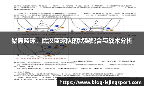 聚焦篮球：武汉篮球队的默契配合与战术分析